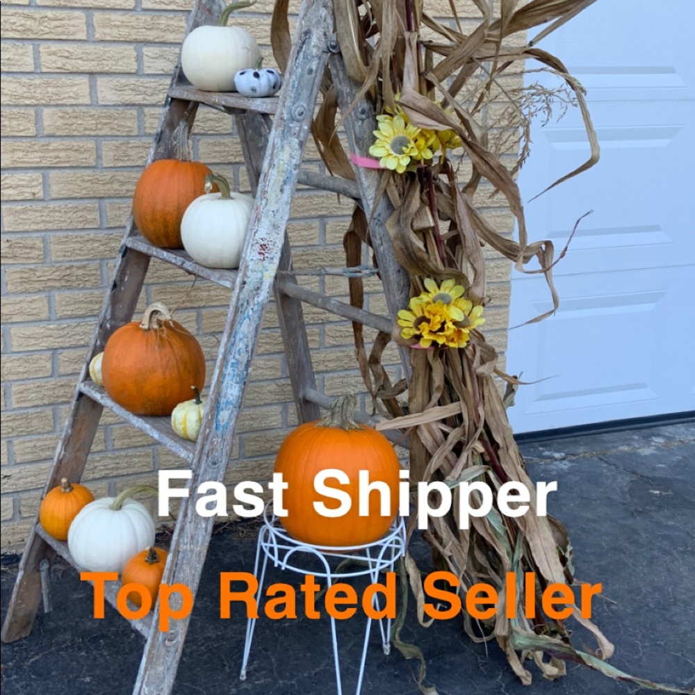 Fast Shipper Top Rated Seller